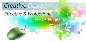 Website design and hosting