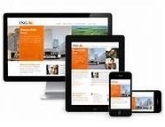 Low cost responsive web design and hosting